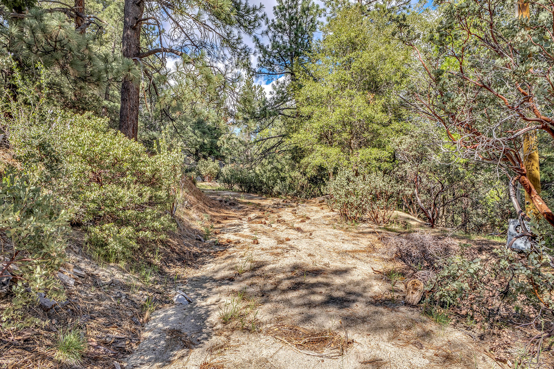 0 Lakeview Drive Idyllwild, CA 92549 - Photo 9 of 26 IMG_7175