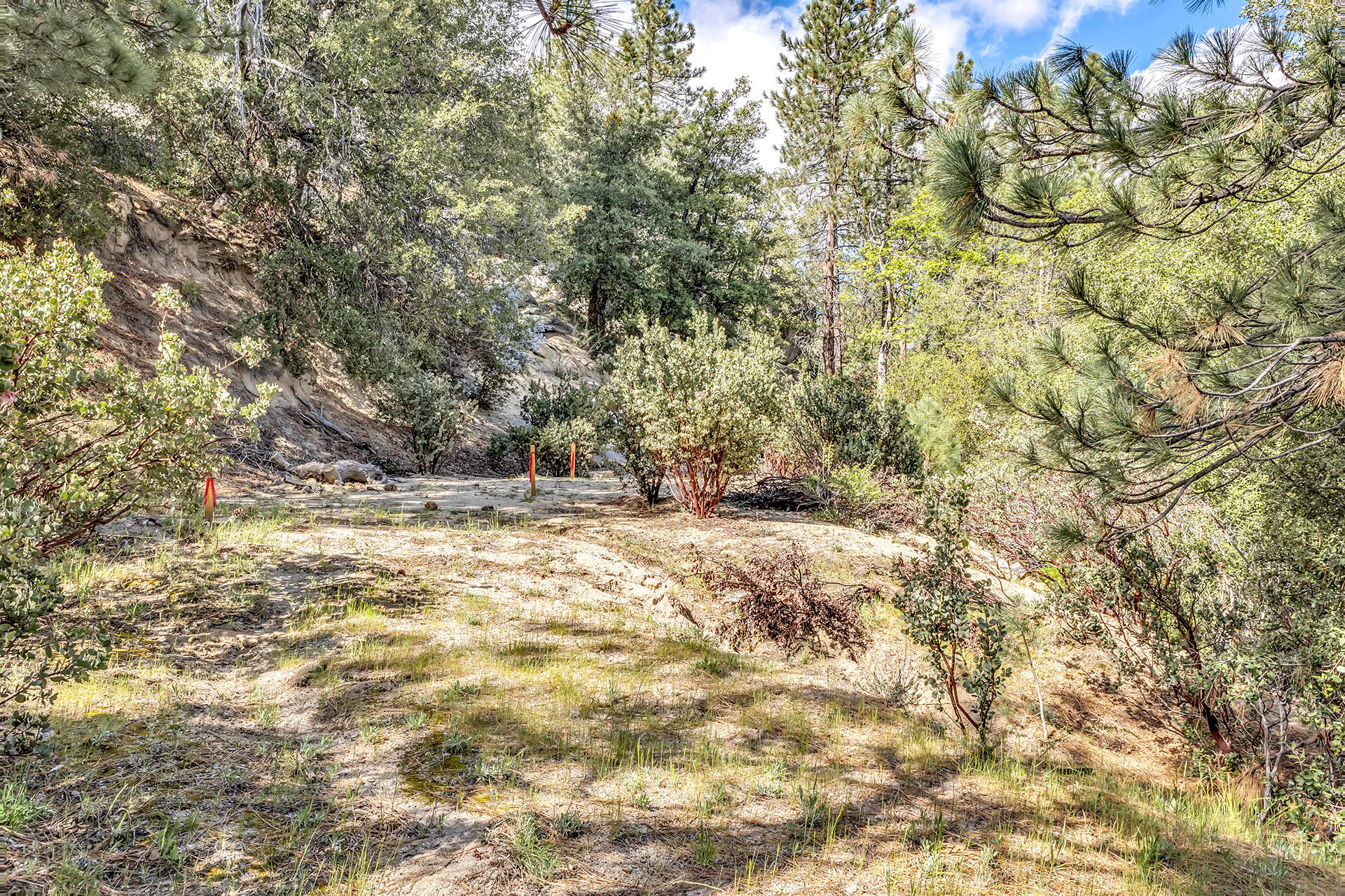 0 Lakeview Drive Idyllwild, CA 92549 - Photo 10 of 26 IMG_7185