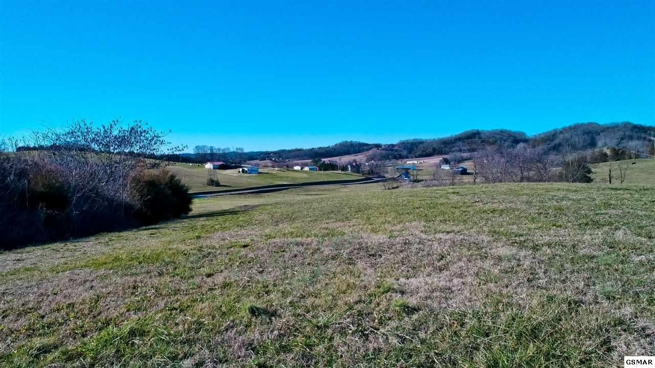 64 Upper West Road Parrottsville, TN 37843 - Photo 14 of 34 Gallery Image 14