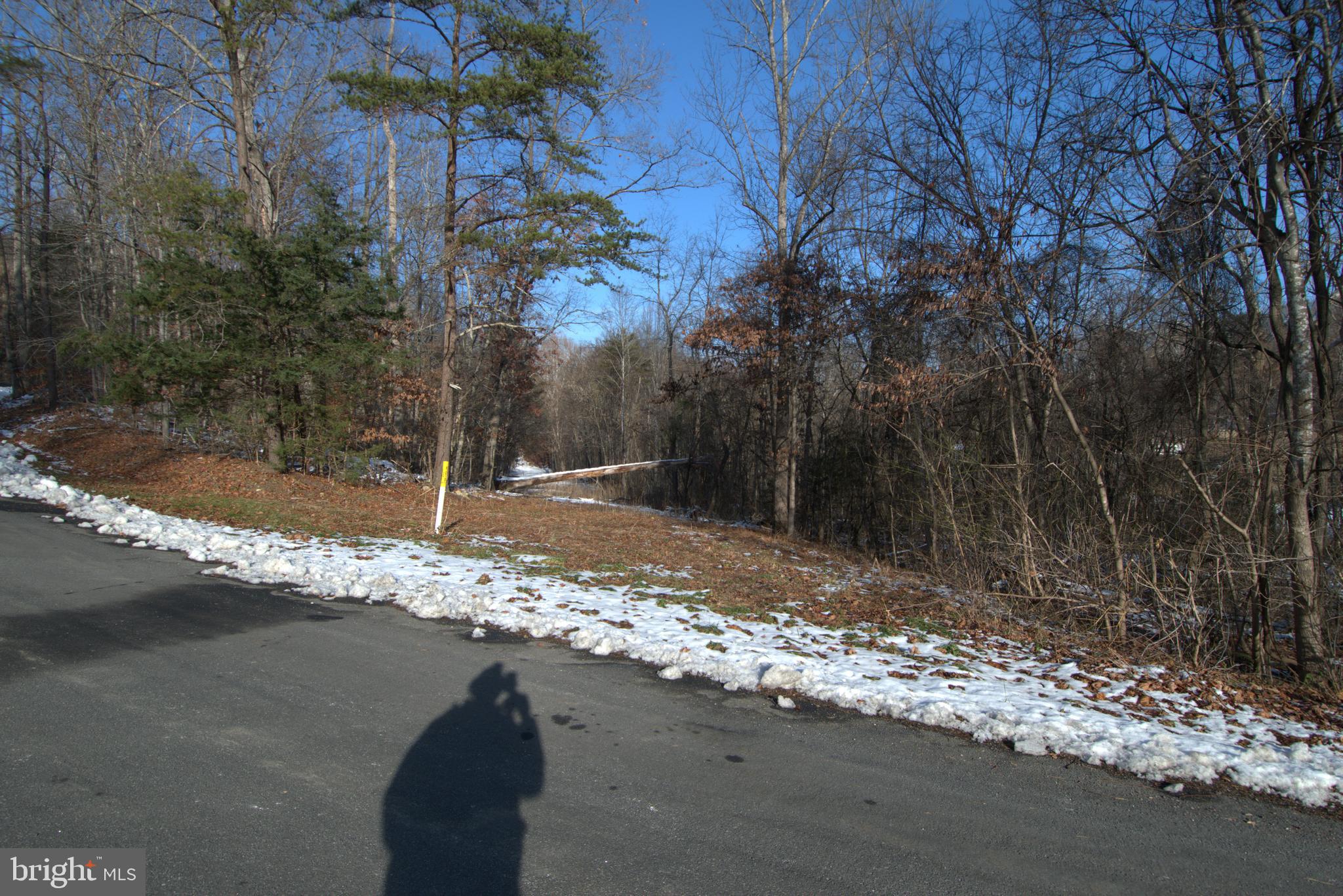 0 Bennetts Run Road Buena Vista, VA 24416 - Photo 12 of 13 a view of a yard with large trees