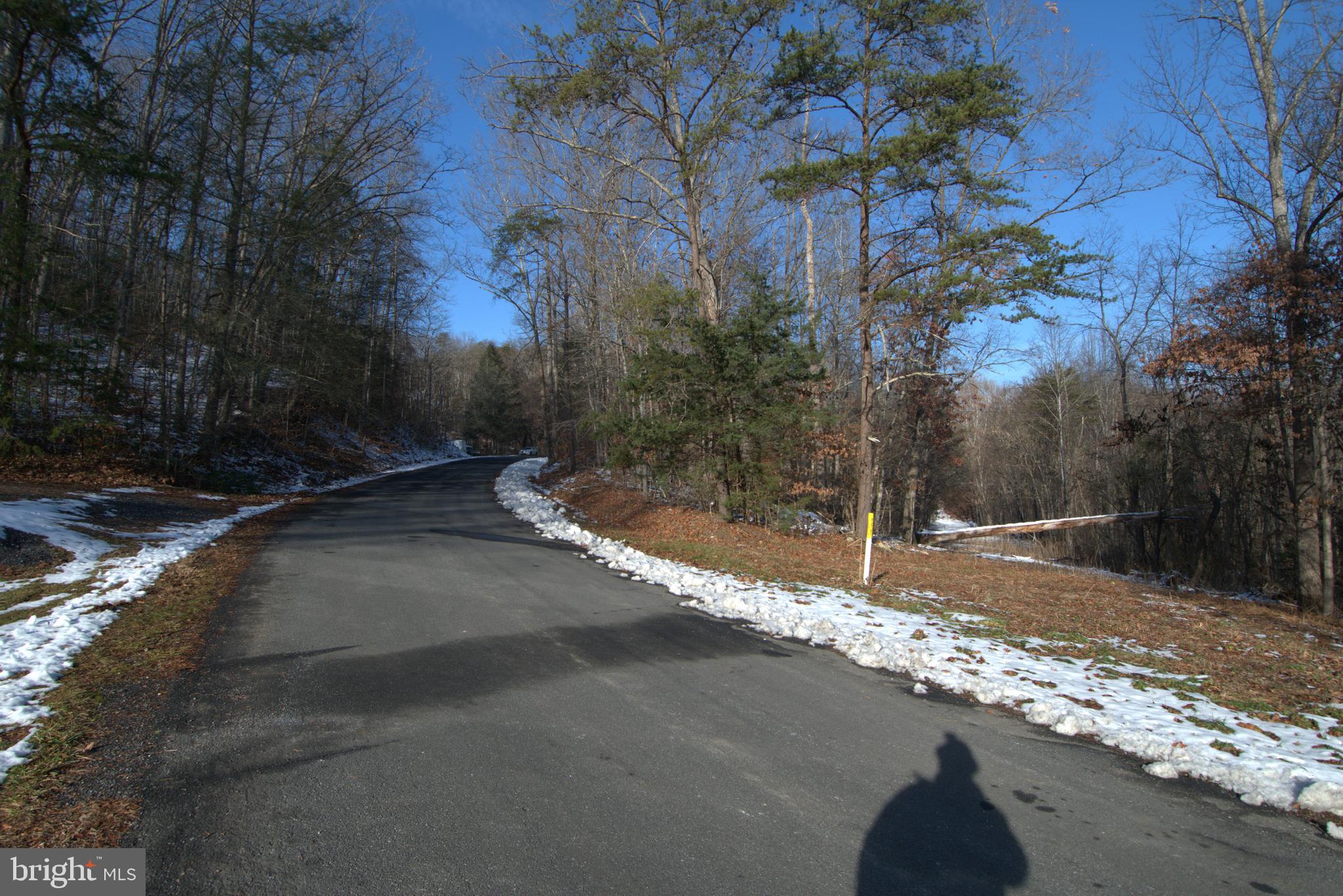 0 Bennetts Run Road Buena Vista, VA 24416 - Photo 13 of 13 a view of a yard with a tree