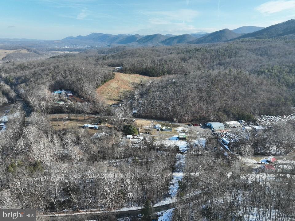 0 Bennetts Run Road Buena Vista, VA 24416 - Photo 3 of 13 a view of a mountain range with trees