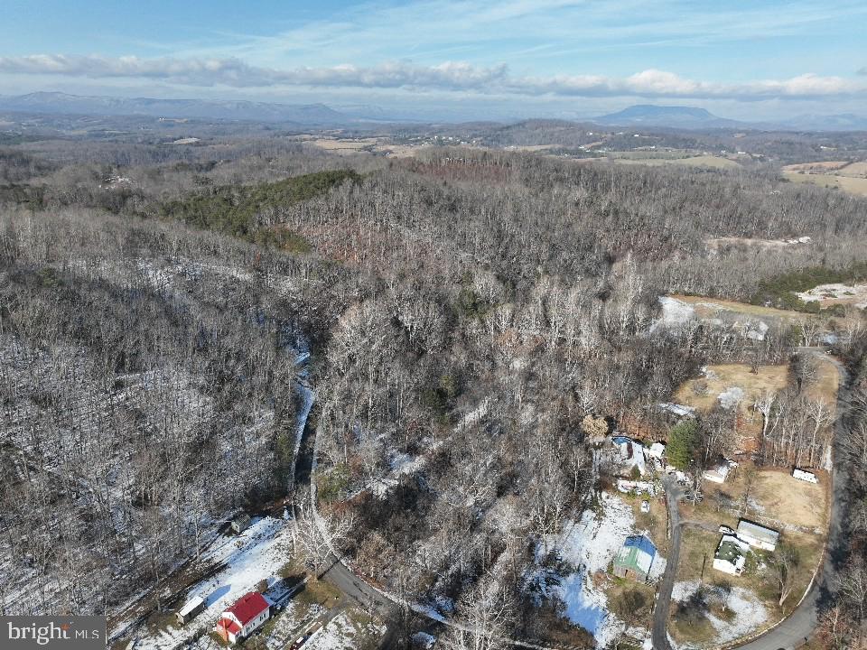 0 Bennetts Run Road Buena Vista, VA 24416 - Photo 4 of 13