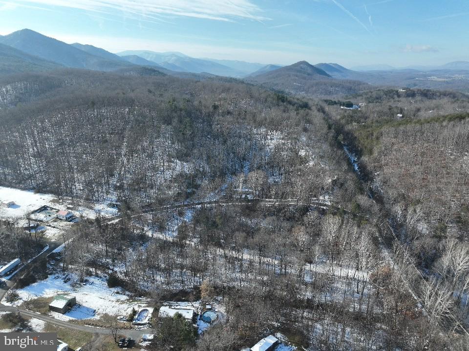 0 Bennetts Run Road Buena Vista, VA 24416 - Photo 5 of 13 a view of a dry forest with mountains in the background