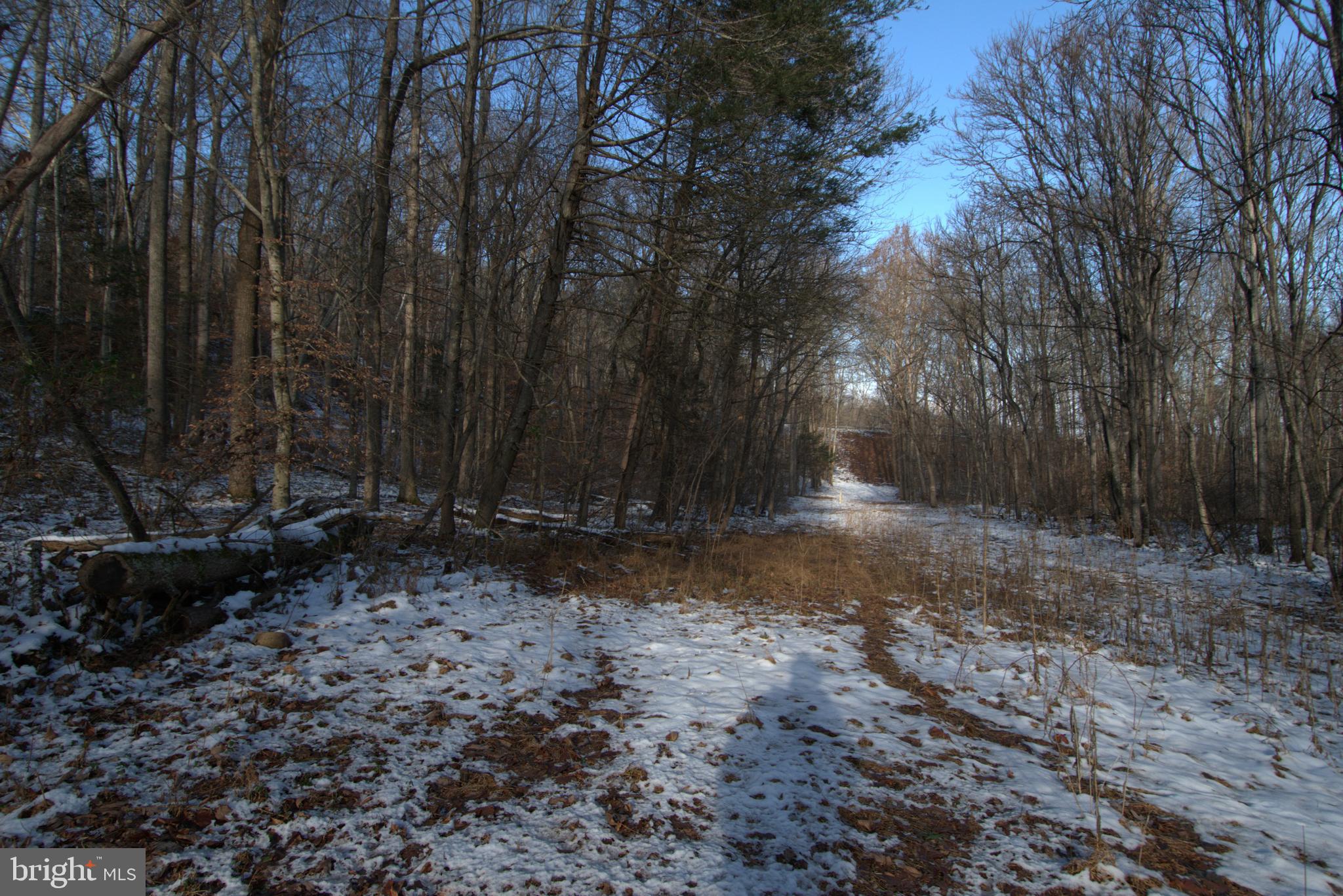 0 Bennetts Run Road Buena Vista, VA 24416 - Photo 6 of 13 a view of backyard with green space