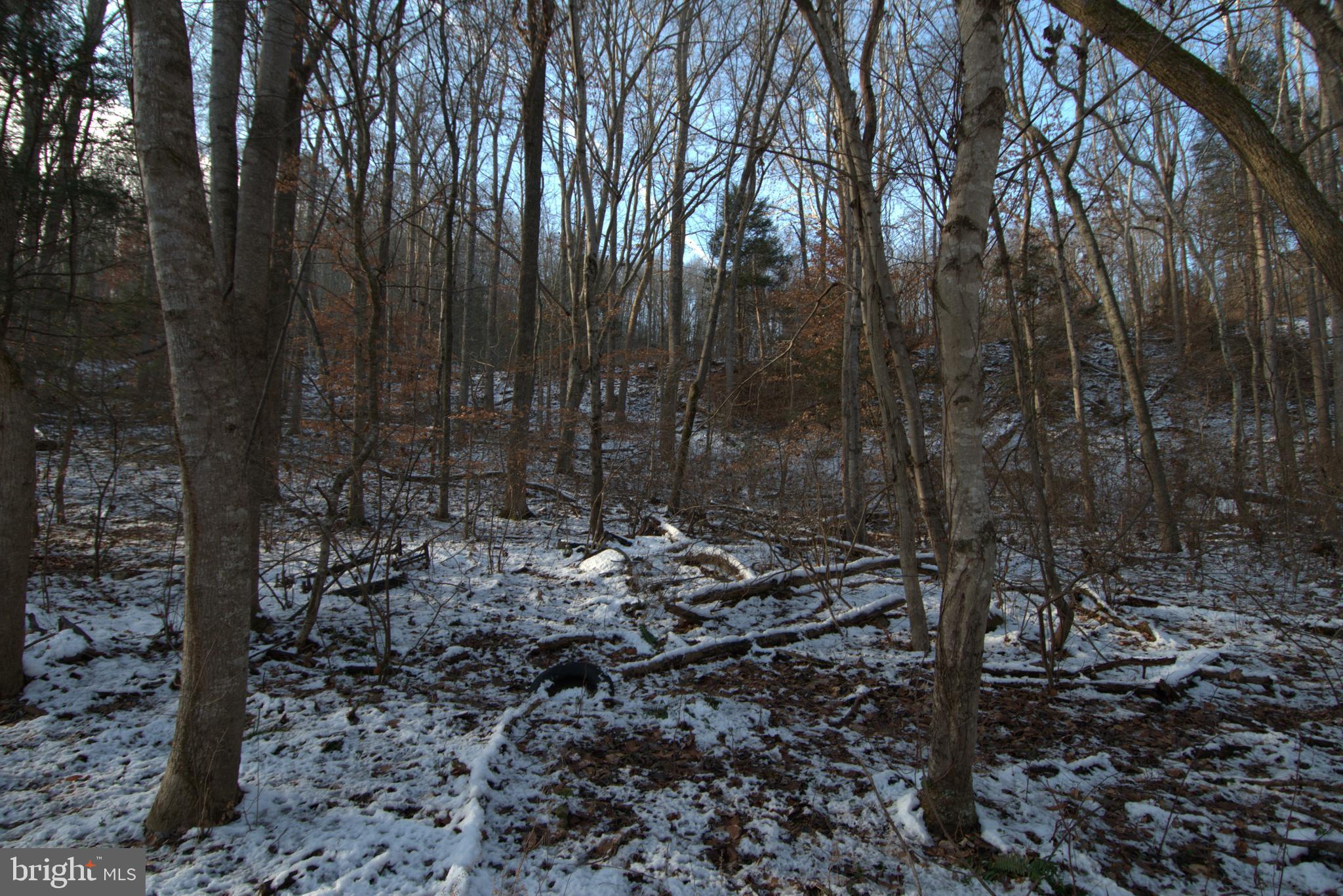 0 Bennetts Run Road Buena Vista, VA 24416 - Photo 7 of 13 a view of a backyard with trees