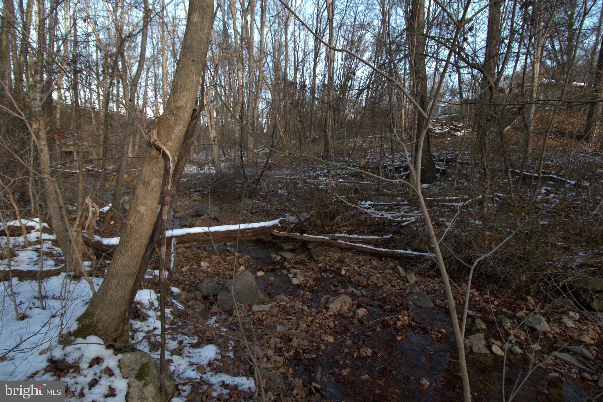 0 Bennetts Run Road Buena Vista, VA 24416 - Photo 8 of 13 a view of a forest with a tree
