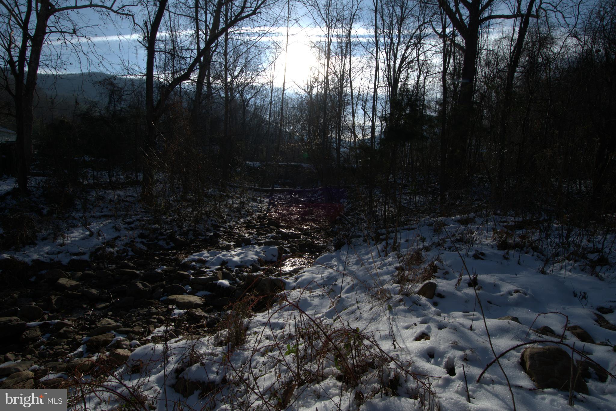 0 Bennetts Run Road Buena Vista, VA 24416 - Photo 9 of 13 a view of outdoor space and yard