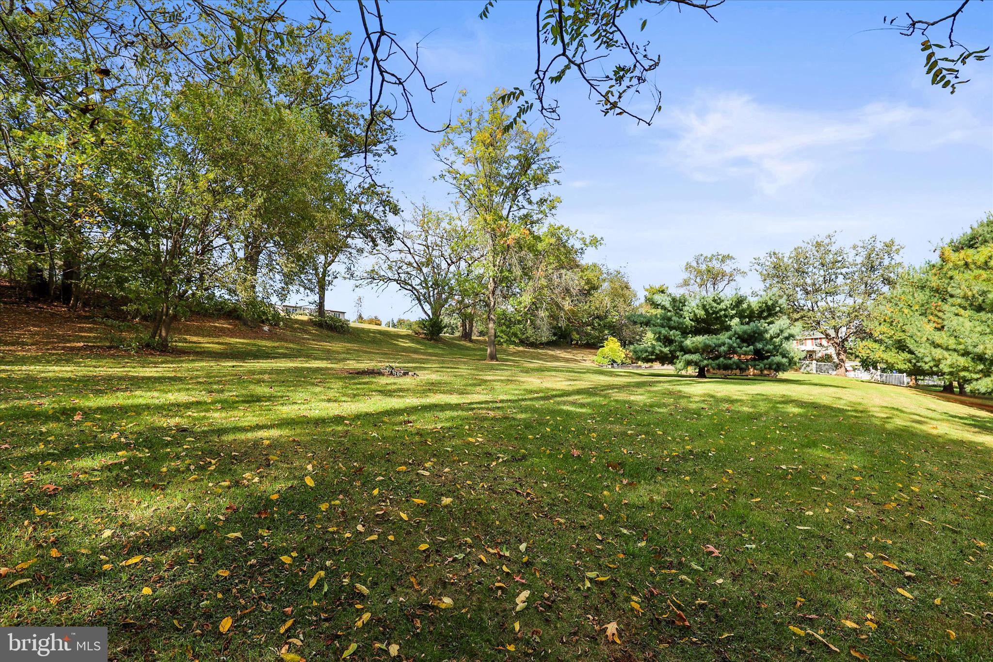 810 Copenhaffer Road York, PA 17404 - Photo 34 of 57 a view of a yard with an trees