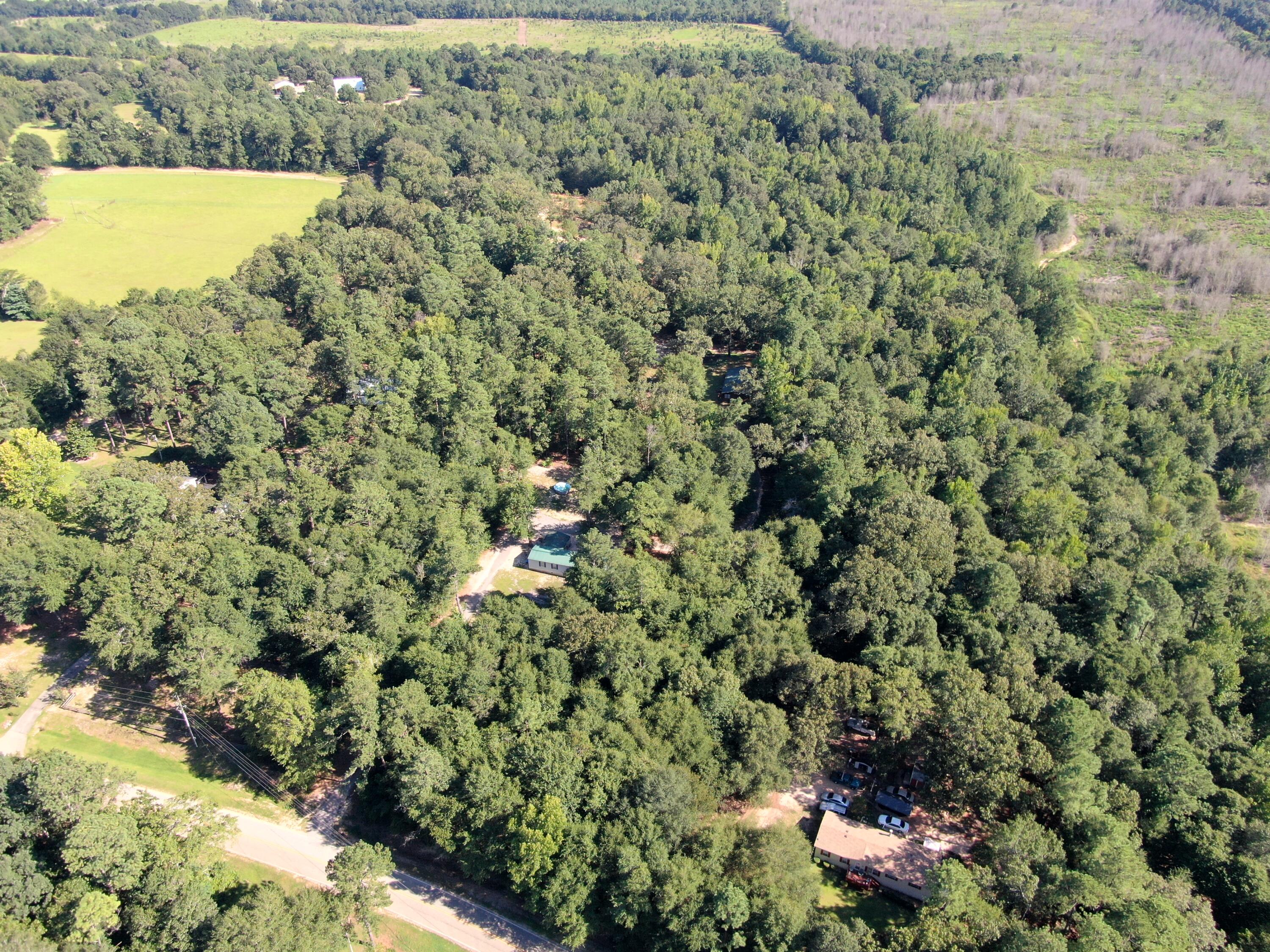 340 Collins Road Waynesboro, GA 30830 - Photo 35 of 39 DJI_0881