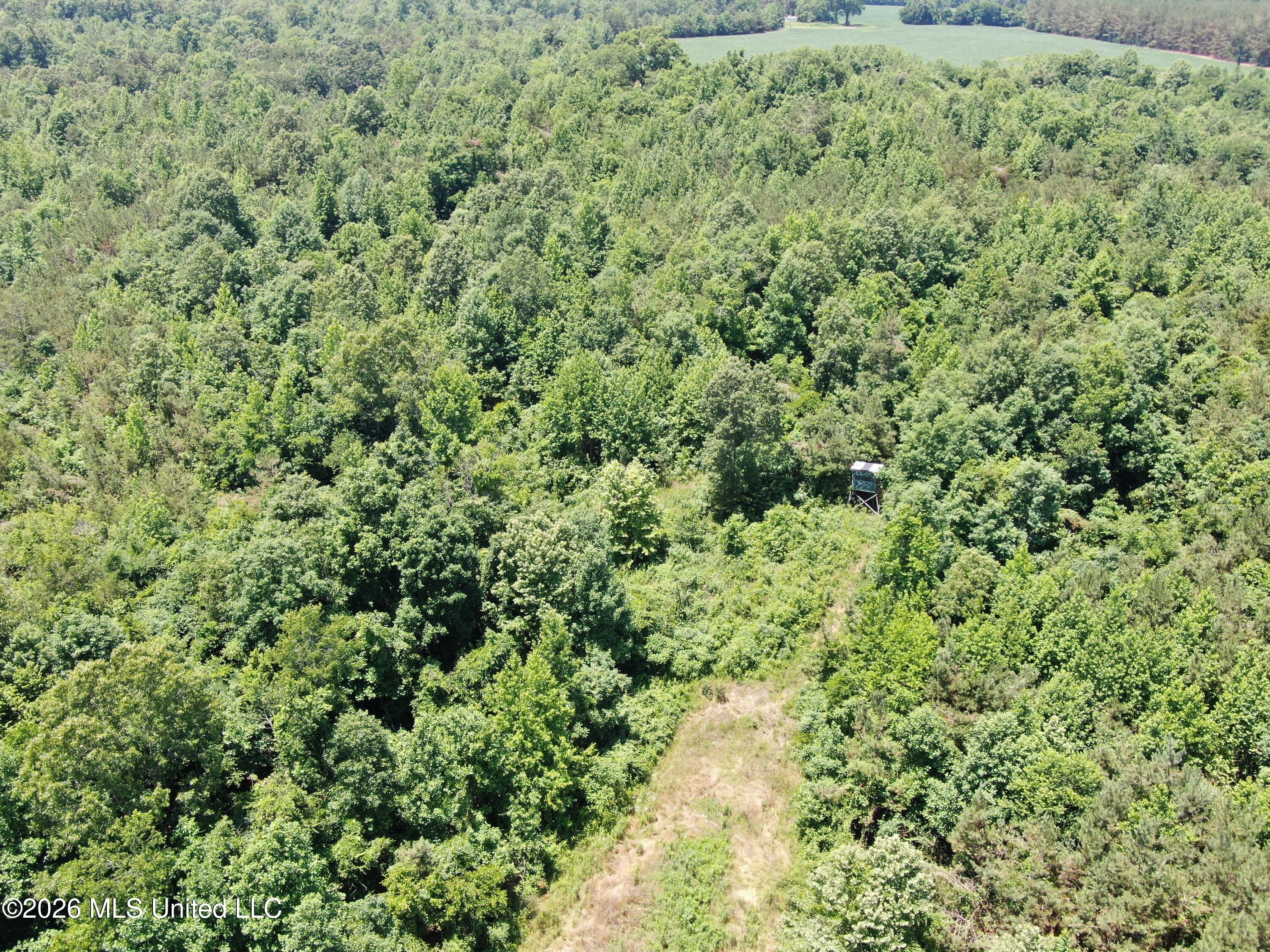 0 Scruggs Road Holly Springs, MS 38635 - Photo 1 of 25 DJI_0037