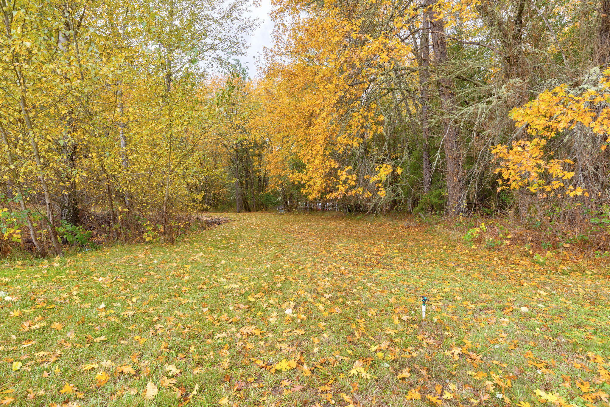 543 Hidden Valley Road Grants Pass, OR 97527 - Photo 36 of 40 36-web-or-mls-543-hidden-valley-rd