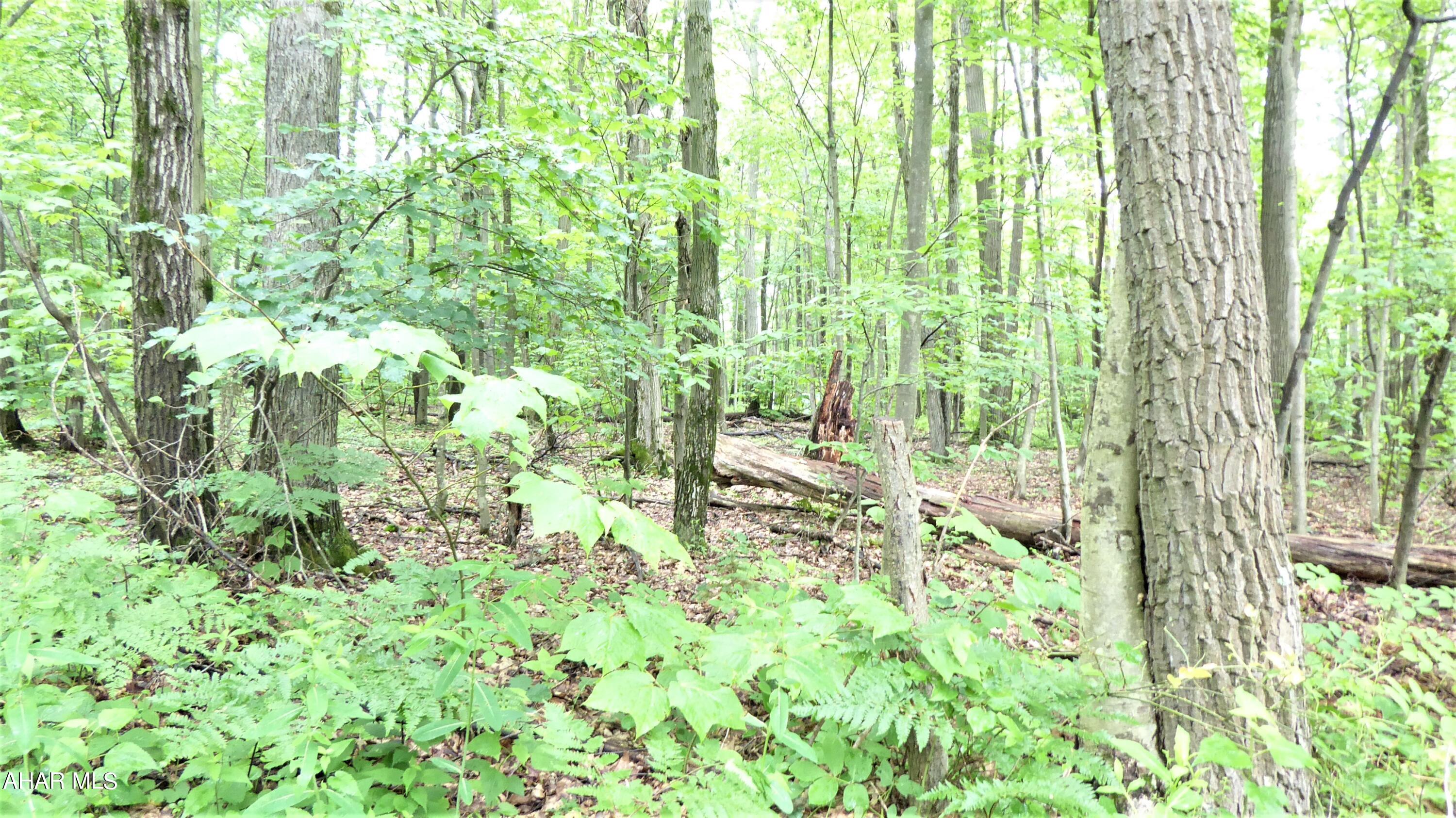 0 Ridge Run Road Claysburg, PA 16625 - Photo 13 of 24
