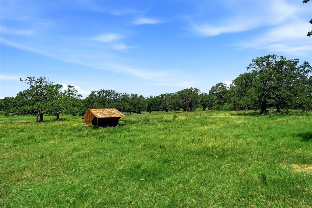 2186 Gilliland Road Springtown, TX 76082 - Photo 11 of 25 Expansive green field featuring a small structure with a brown metal roof, bordered by mature trees