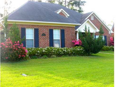 303 River Ridge Cove Brandon, MS 39047 - Photo 18 of 26 Some Spring flowers out front
