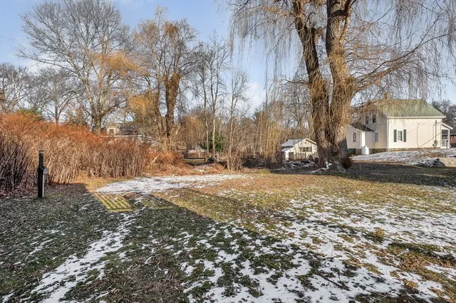 a street view with large trees