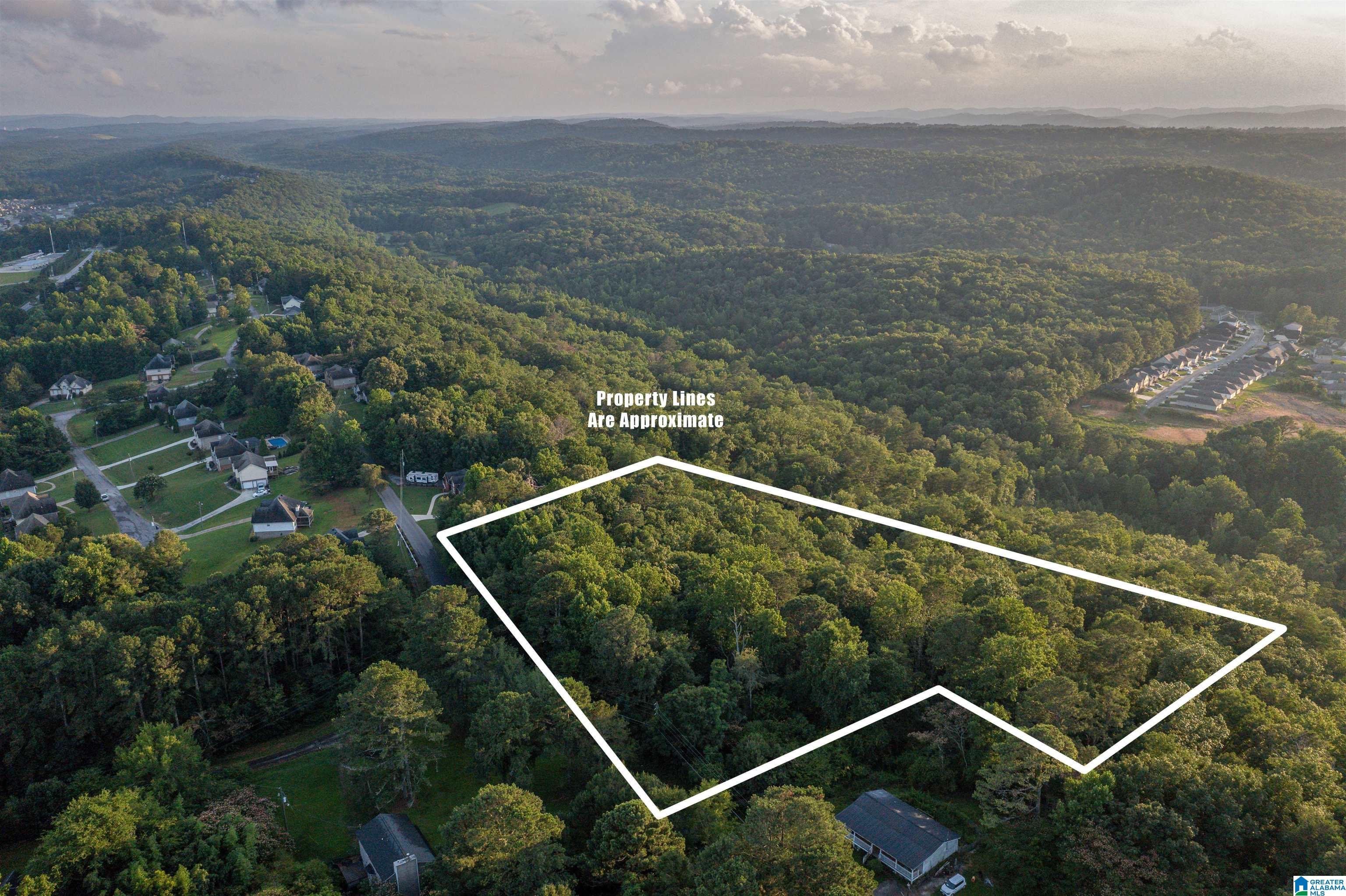 0 Levine Road, Unit X Odenville, AL 35120 - Photo 7 of 16