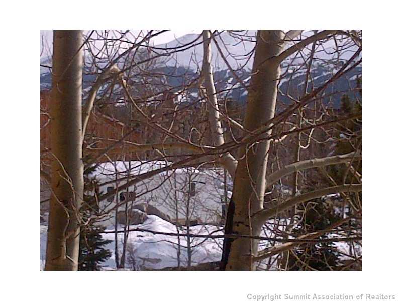 163 High Tor Road, Unit 4 Breckenridge, CO 80424 - Photo 10 of 11 Gallery Image 10