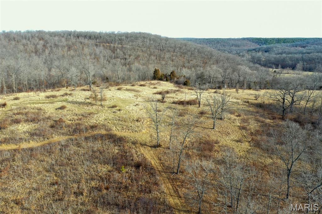 10331 Hopkins Road Potosi, MO 63664 - Photo 1 of 76