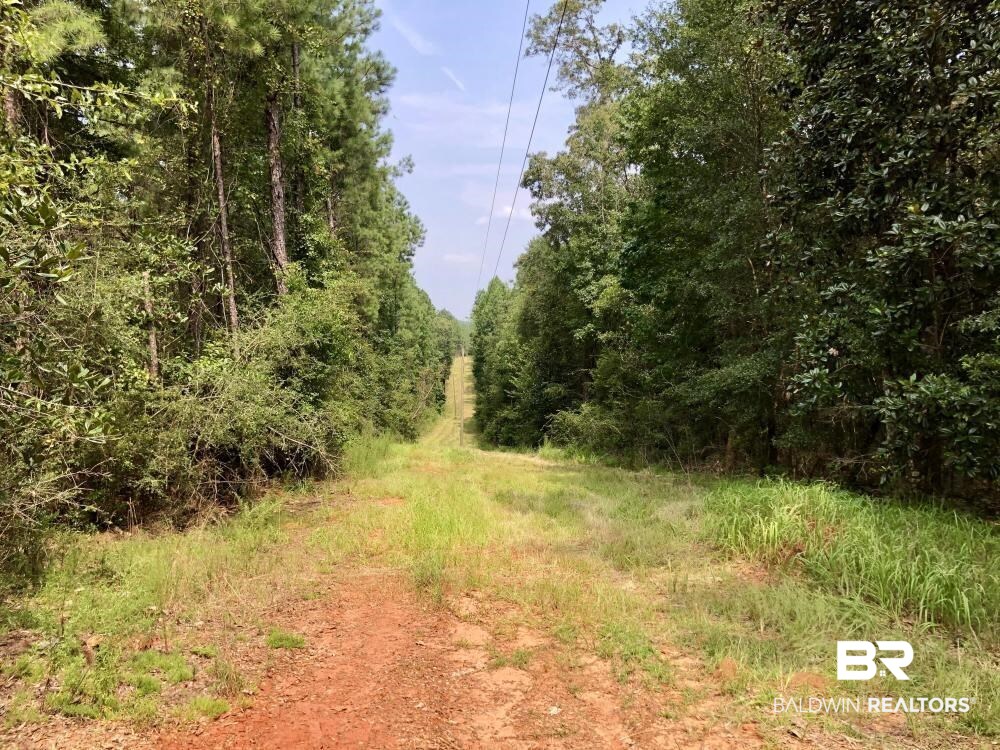 18560 Mason Street Citronelle, AL 36522 - Photo 11 of 45