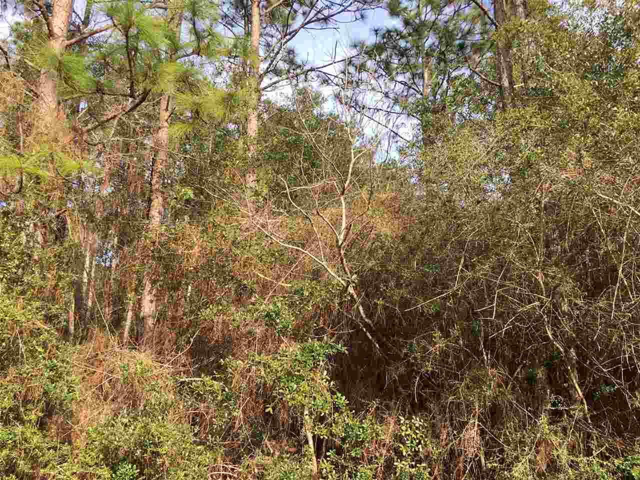 0 East Erin Pond Road Seminole, AL 36574 - Photo 3 of 7