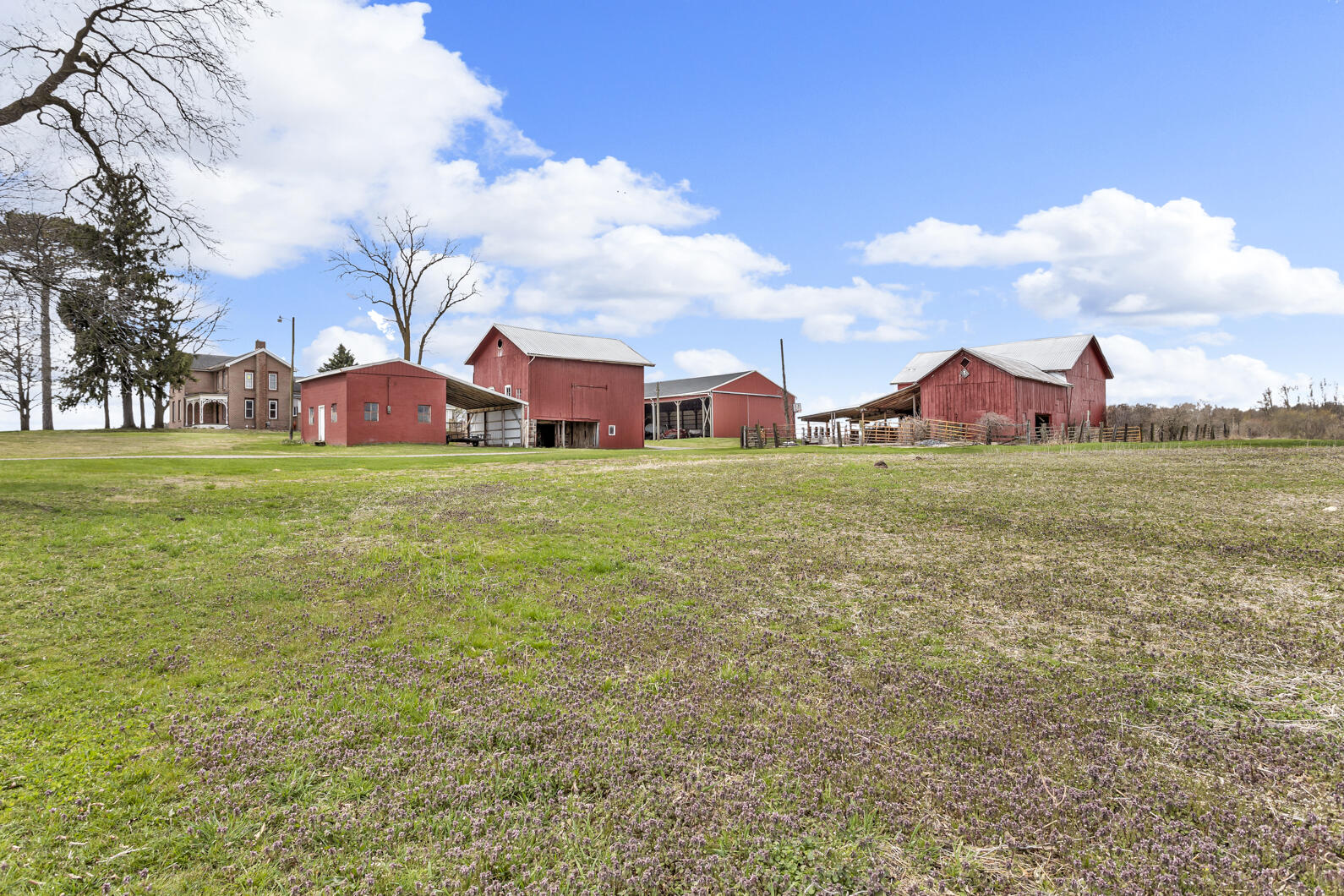 9212 Rives Junction Road Rives Junction, MI 49277 - Photo 49 of 67 0N0A1339