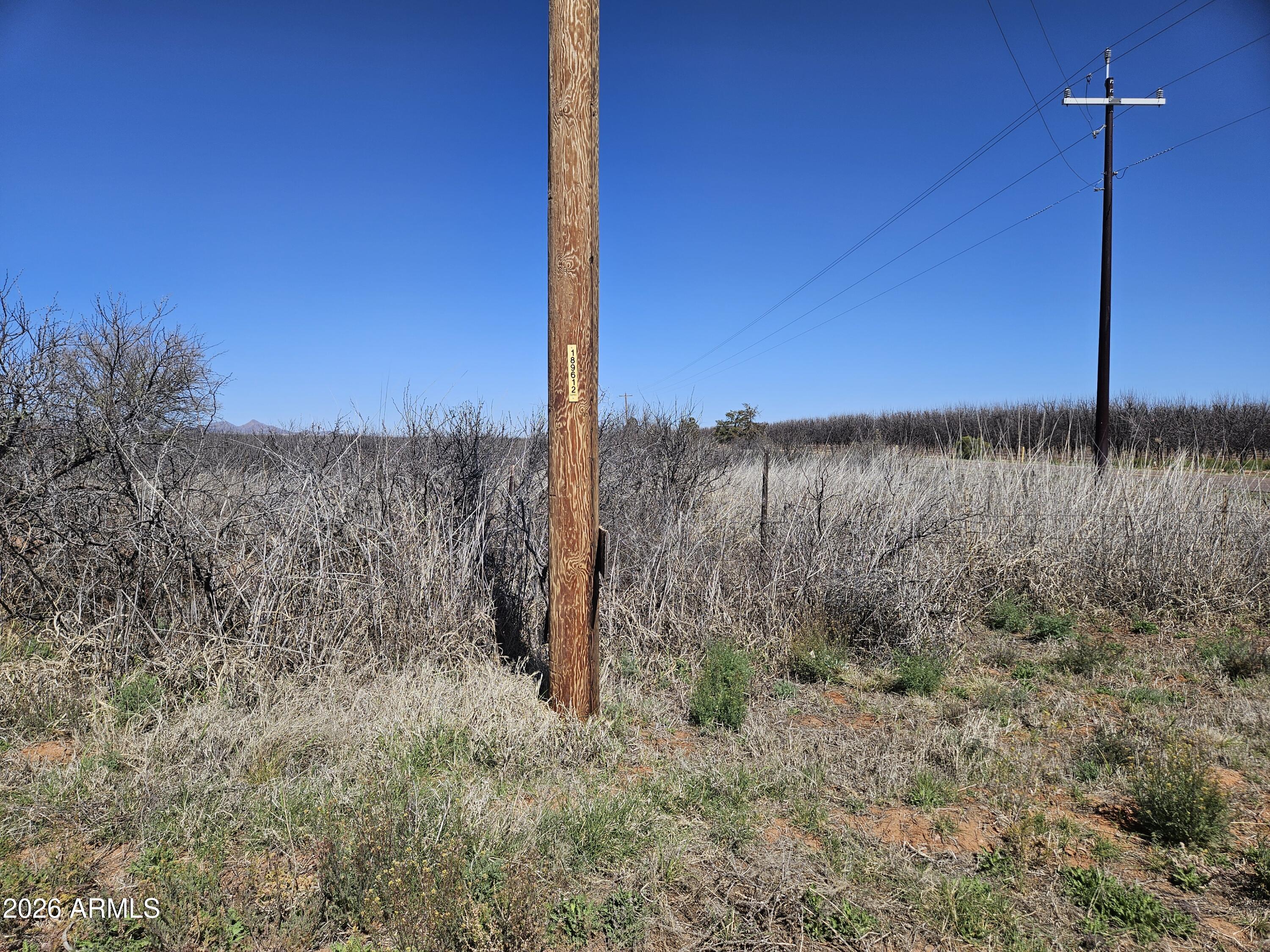 Xxxx North Frontier Road McNeal, AZ 85617 - Photo 5 of 20 a view of a yard