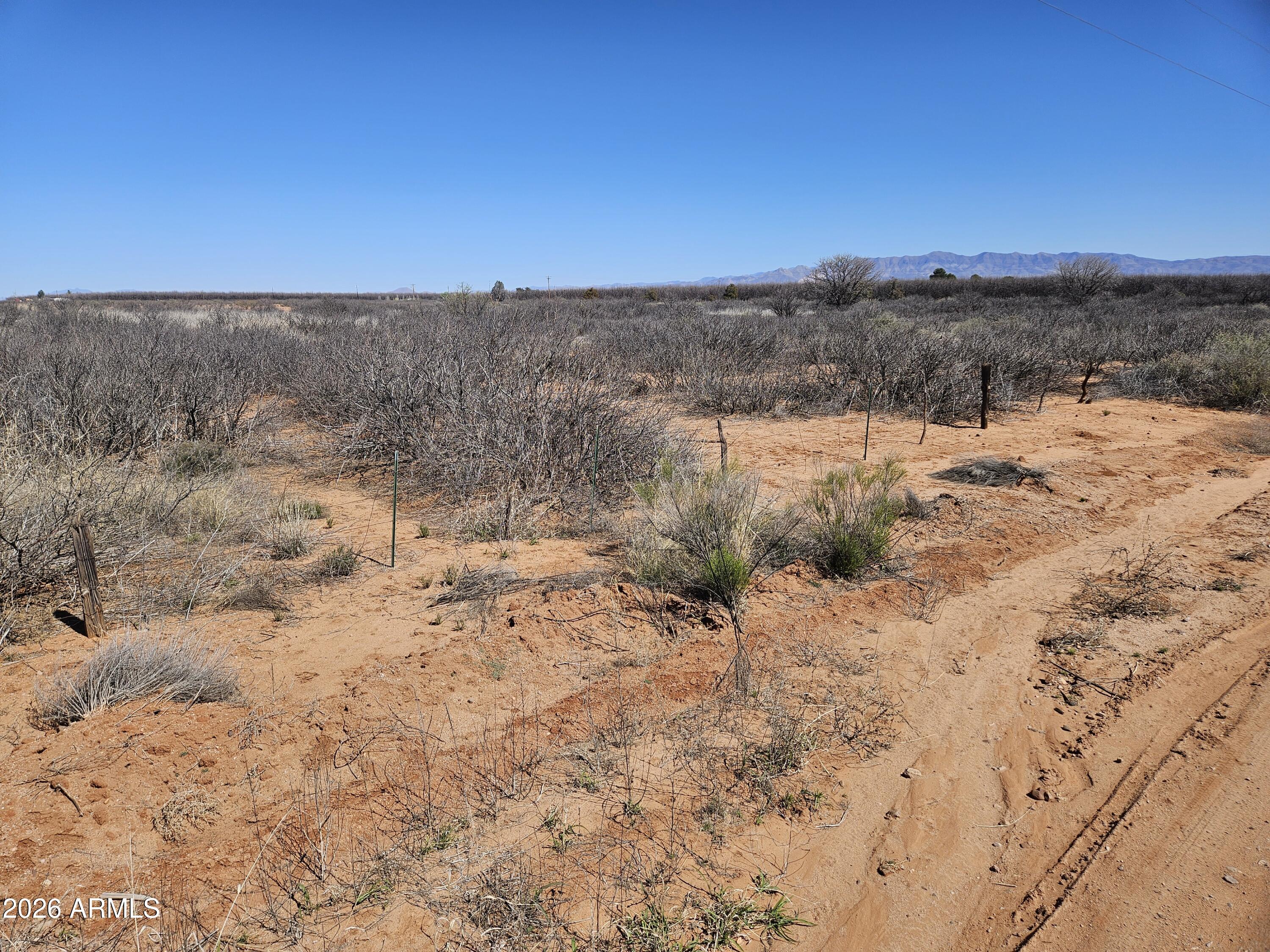Xxxx North Frontier Road McNeal, AZ 85617 - Photo 8 of 20 a view of outdoor space and trees