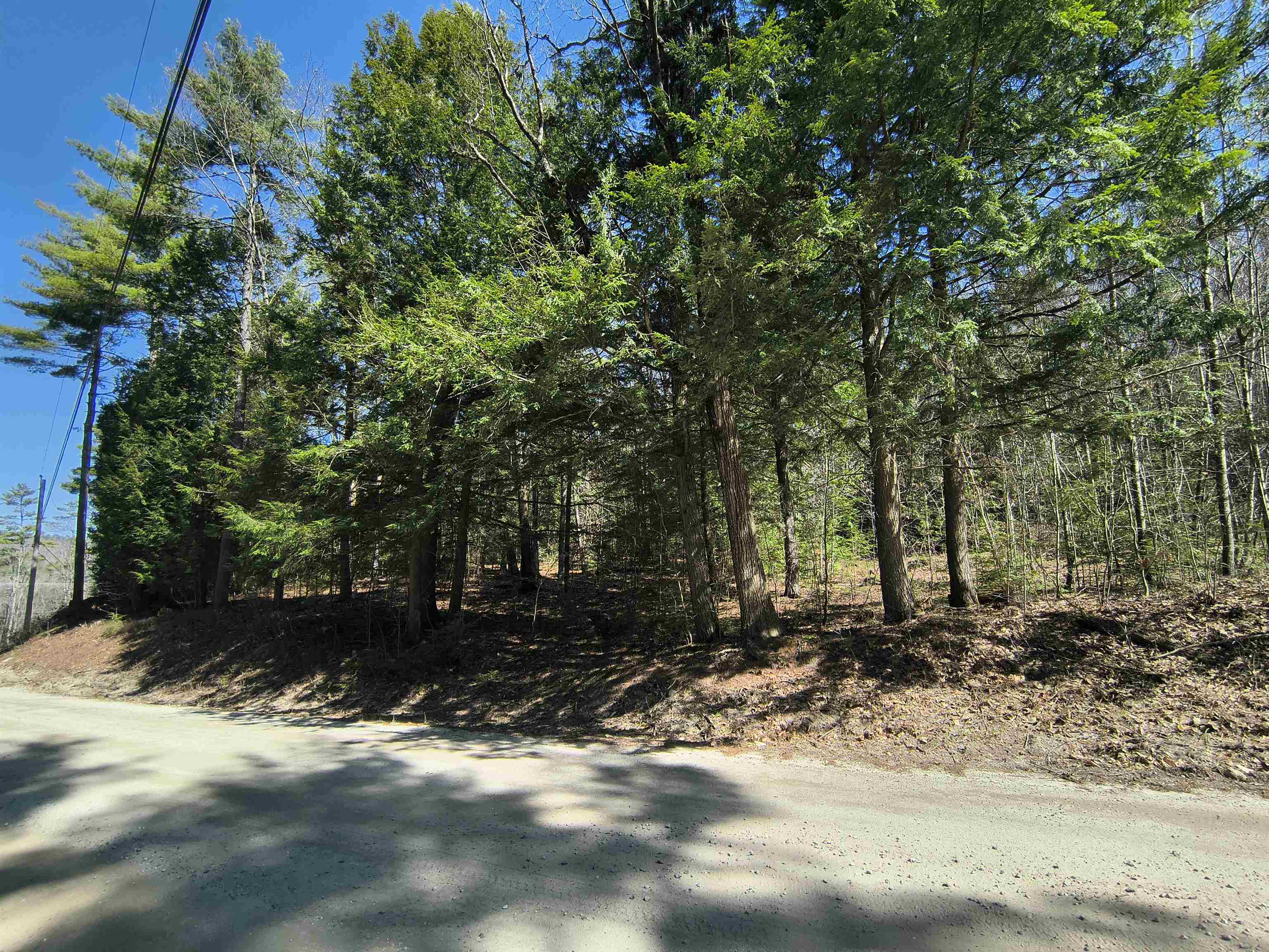 0 Littlefield Road Danbury, NH 03230 - Photo 4 of 15 Gallery Image 4