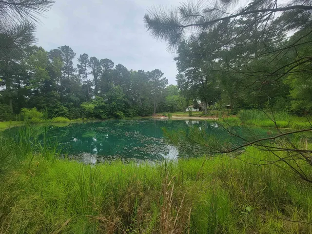a view of a lake with a yard and large trees