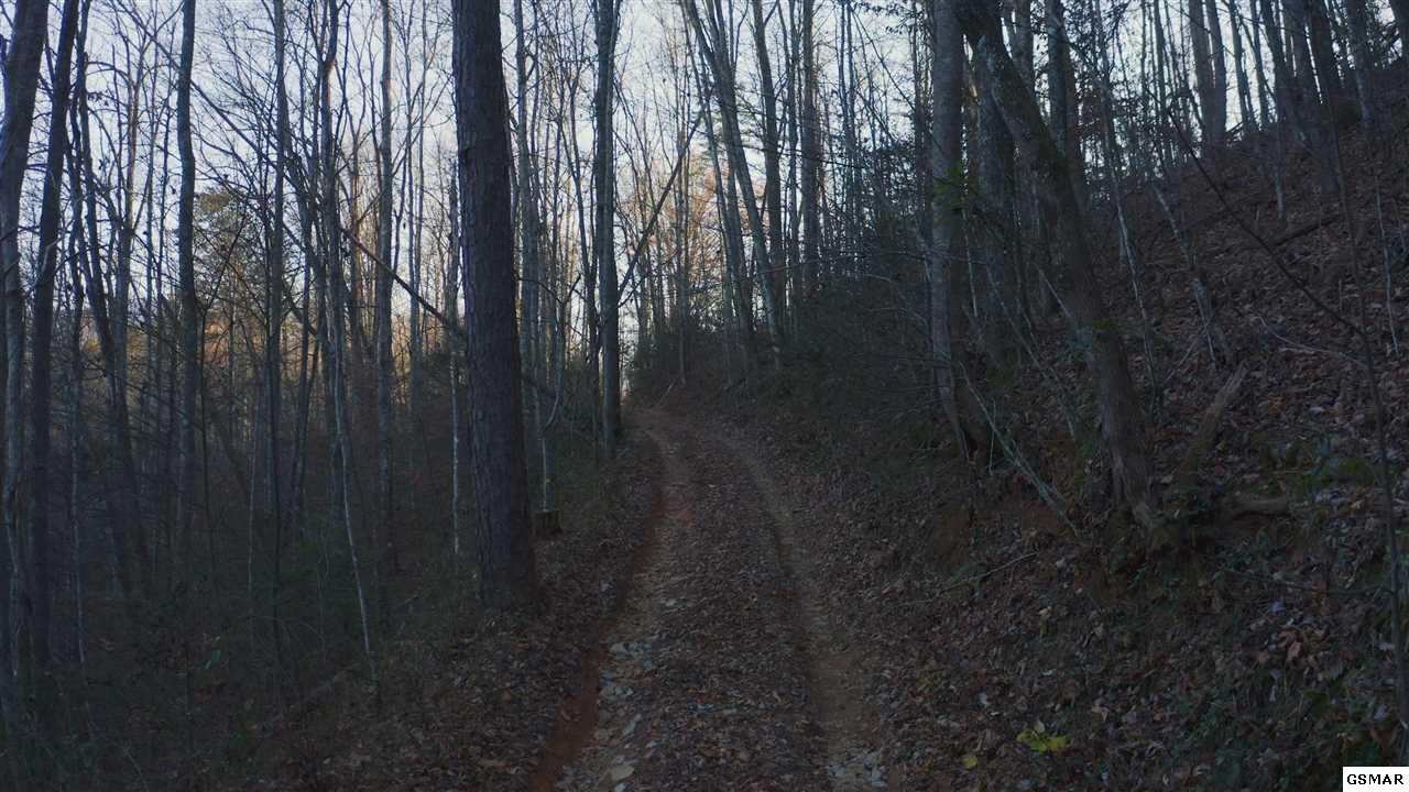 314 Hickey Road Sevierville, TN 37876 - Photo 3 of 36