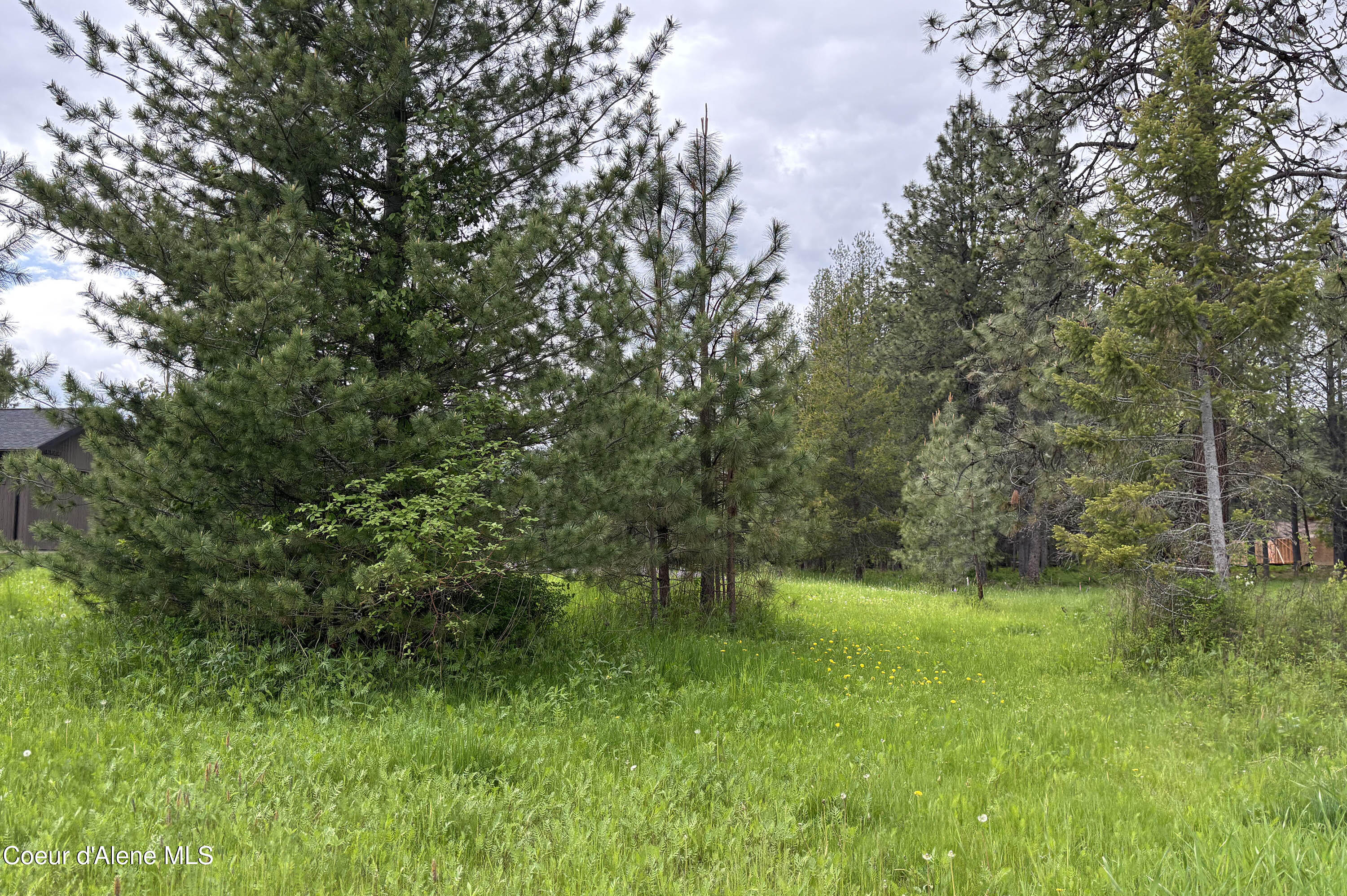 Lot 11 Hewitt Lane Dover, ID 83825 - Photo 6 of 22 Lot 11 Hewitt Lane