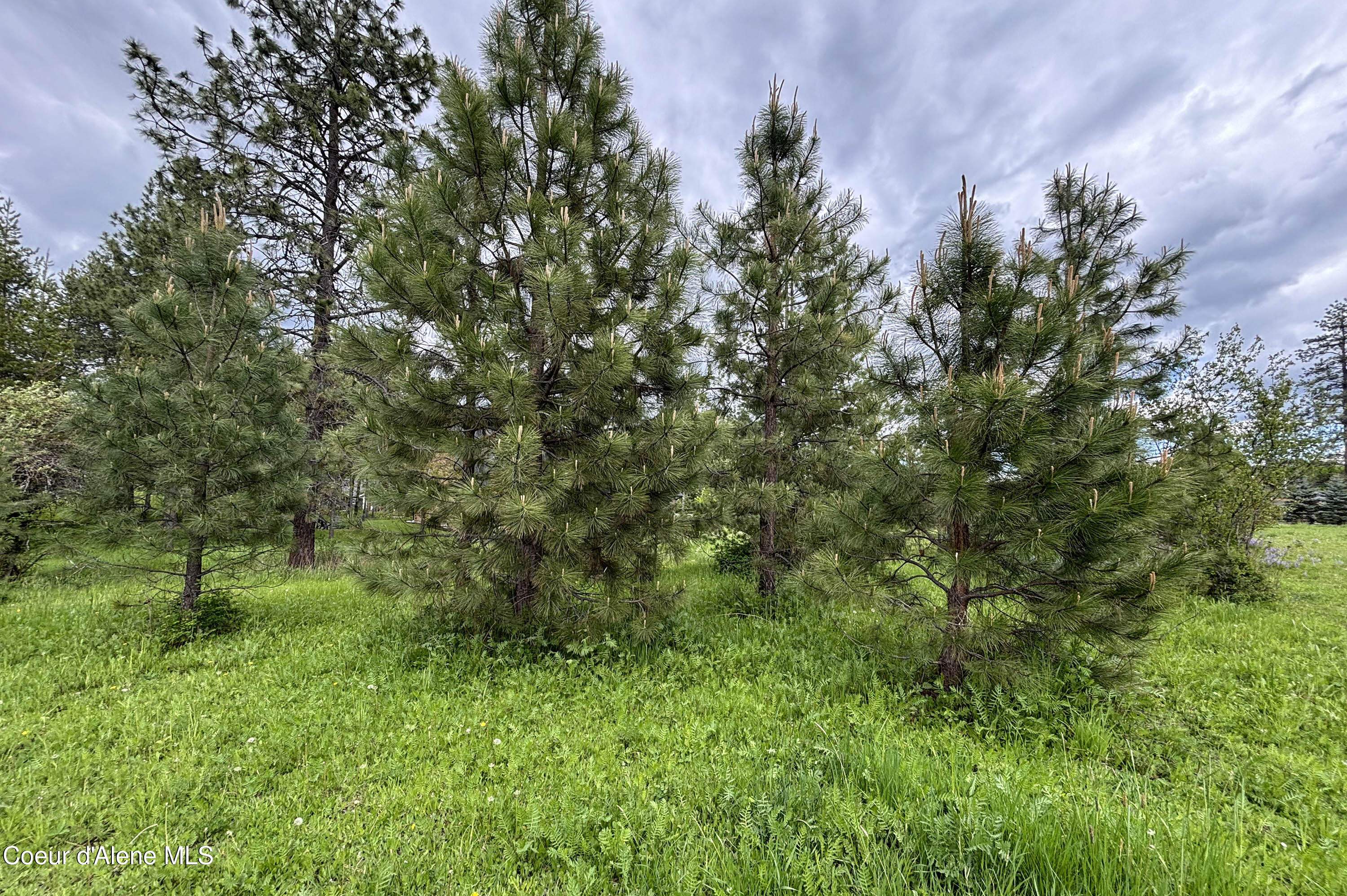 Lot 11 Hewitt Lane Dover, ID 83825 - Photo 7 of 22 Lot 11