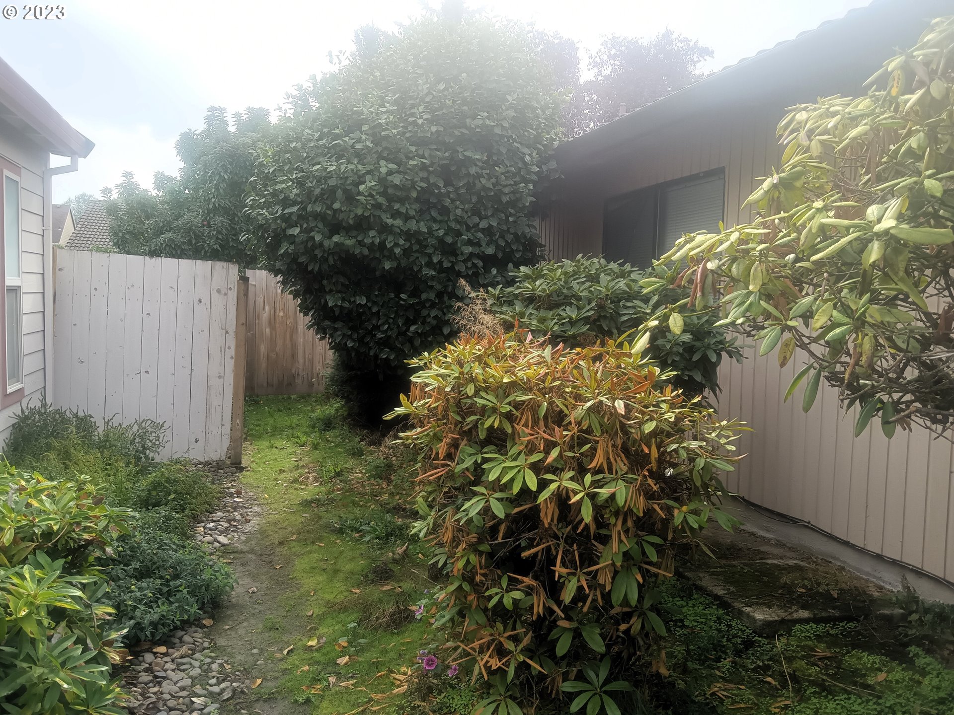 12998 Southwest Gentry Lane Beaverton, OR 97005 - Photo 4 of 22 a view of a garden with plants
