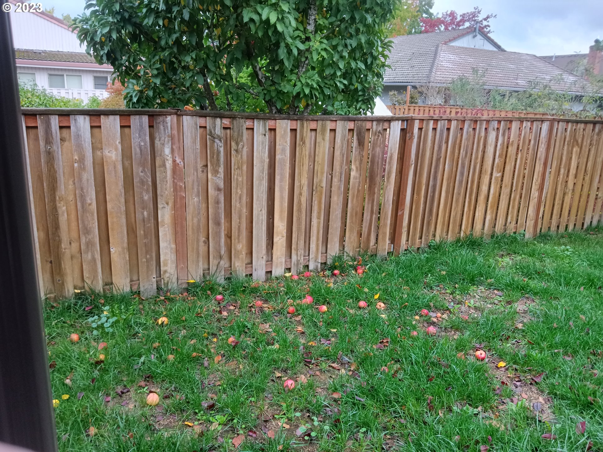 12998 Southwest Gentry Lane Beaverton, OR 97005 - Photo 6 of 22 a view of a wooden fence
