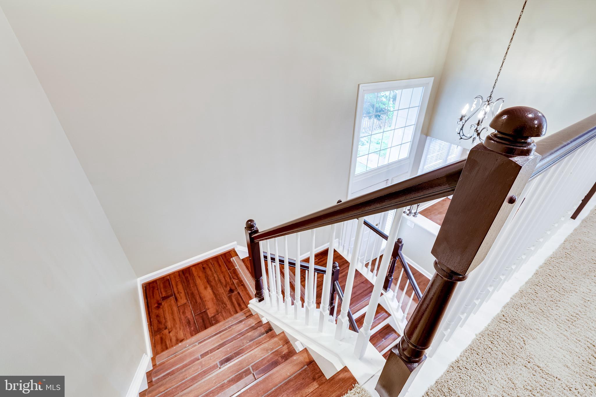 1369 Park Garden Lane Reston, VA 20194 - Photo 19 of 46 Hardwood stairs