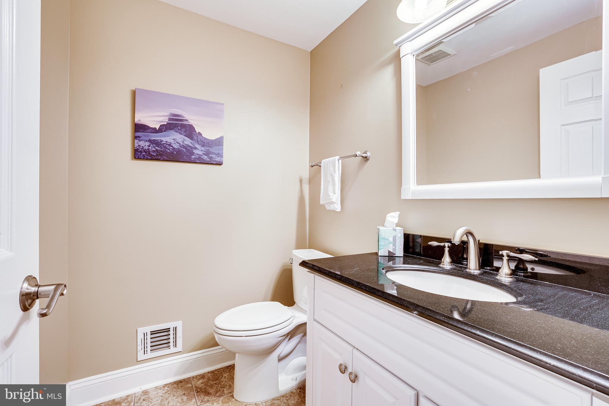 1369 Park Garden Lane Reston, VA 20194 - Photo 30 of 46 Updated LL powder room