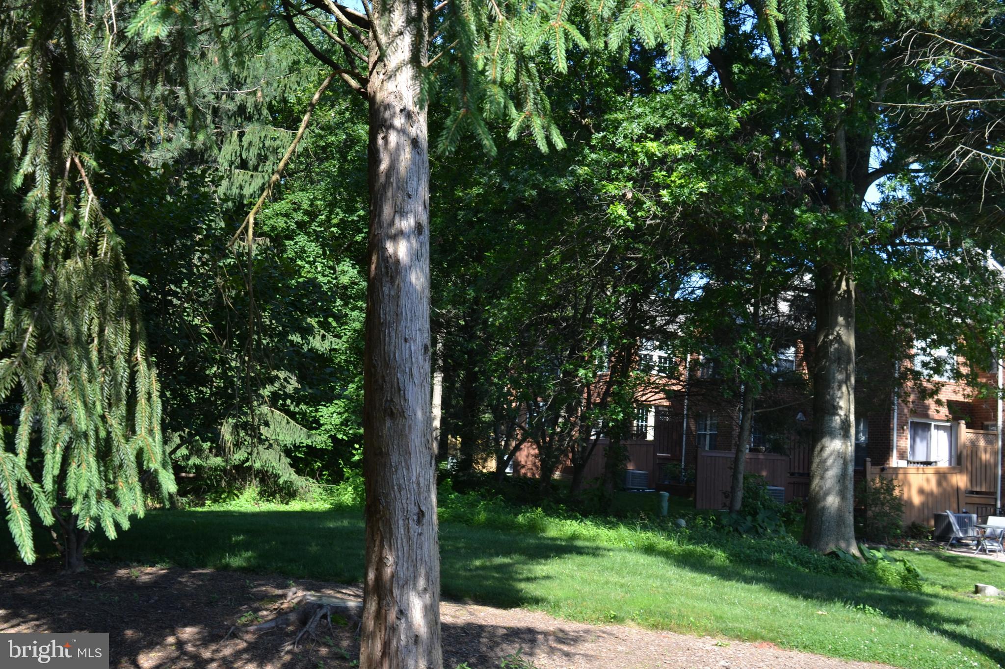 1369 Park Garden Lane Reston, VA 20194 - Photo 36 of 46 Who doesn't need more greenspace in their life?