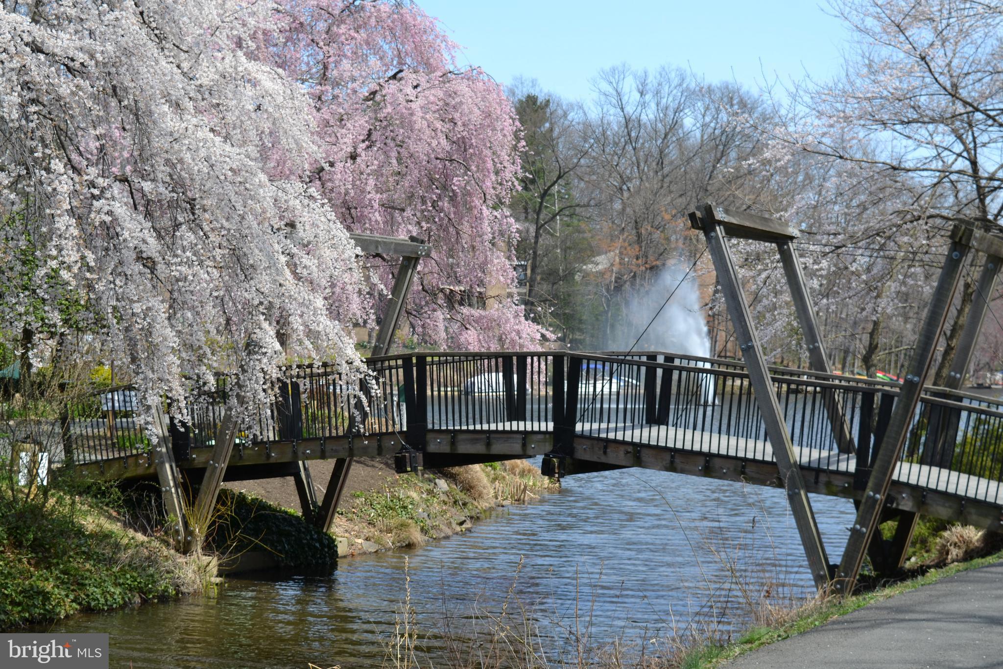 1369 Park Garden Lane Reston, VA 20194 - Photo 42 of 46 The Van Gogh Bridge at Lake Anne