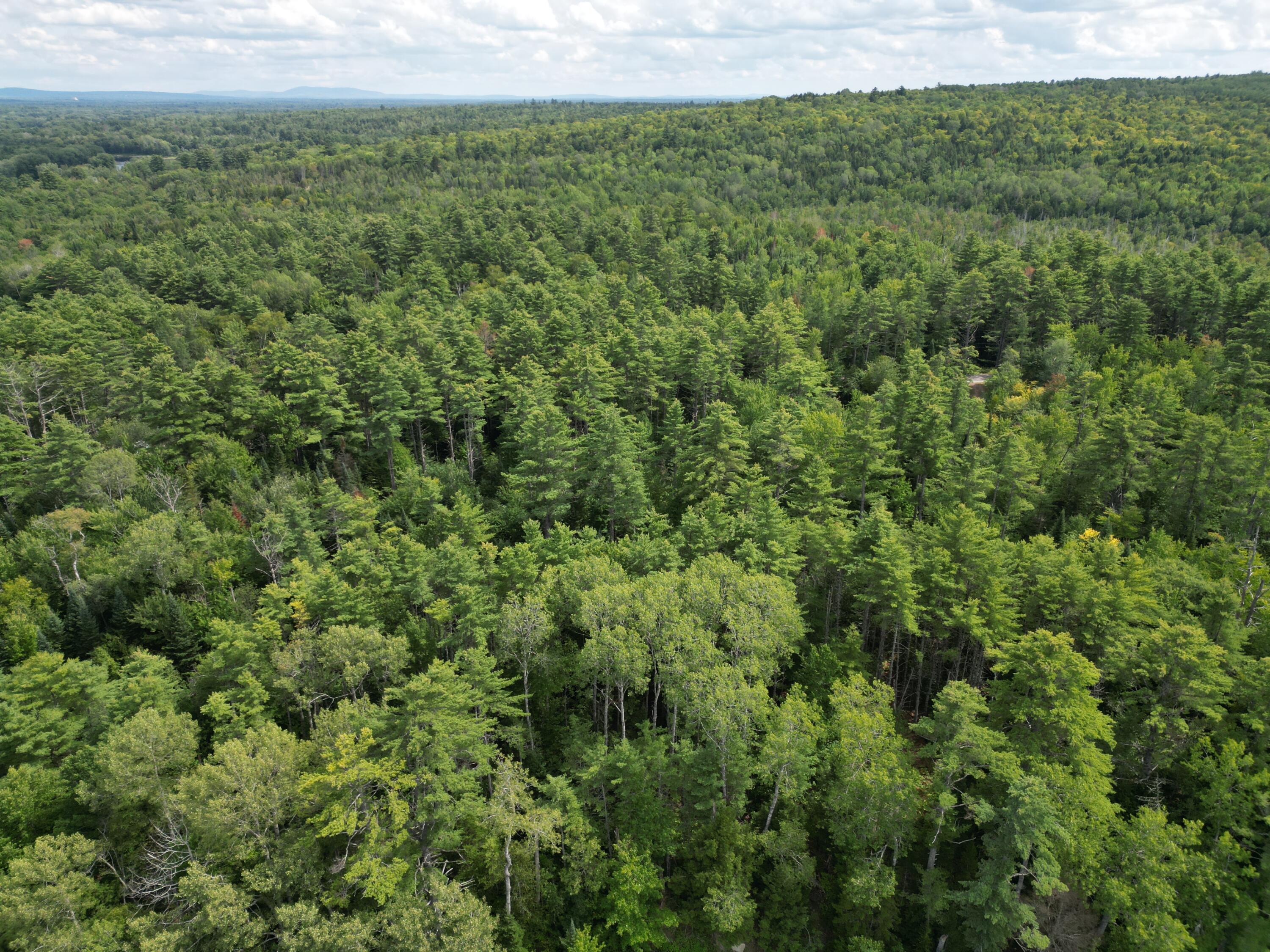 Lot 5 River Road Lagrange, ME 04453 - Photo 18 of 19 DJI_0051