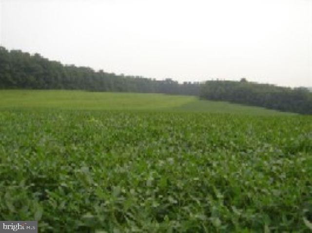 Lot Pond Pond Road Newport, PA 17074 - Photo 1 of 3 Gallery Image 1