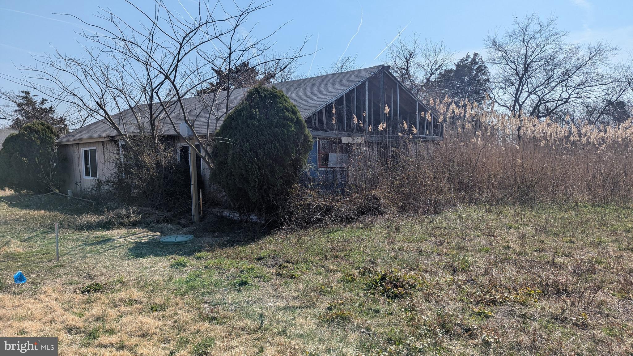 53 Creek Avenue Fortescue, NJ 08321 - Photo 3 of 11 a view of a house with a yard and tree