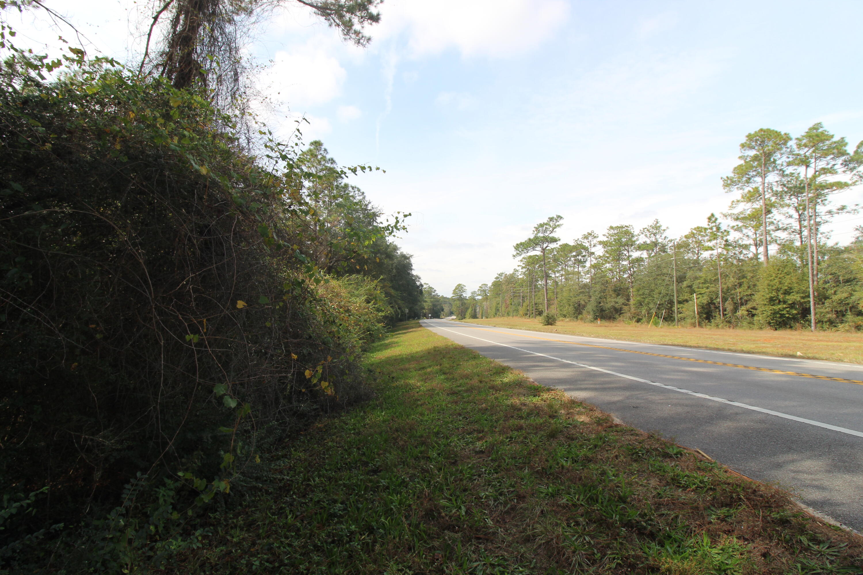 TBD East Highway 90 Crestview, FL 32539 - Photo 11 of 12 a big yard with lots of green space