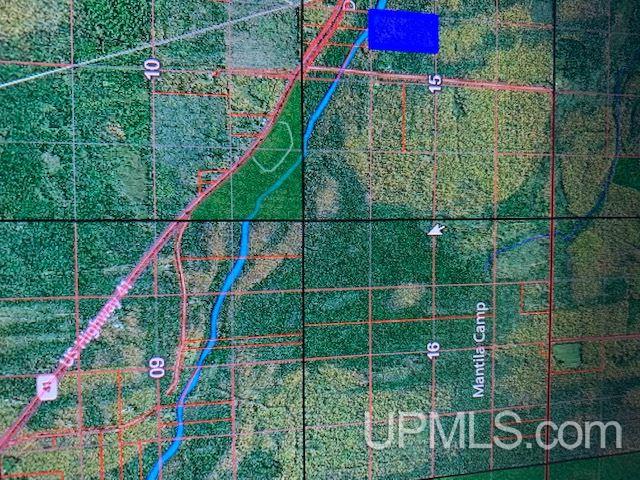 Tbd Diffin Road Trenary, MI 49891 - Photo 10 of 10 Gallery Image 10