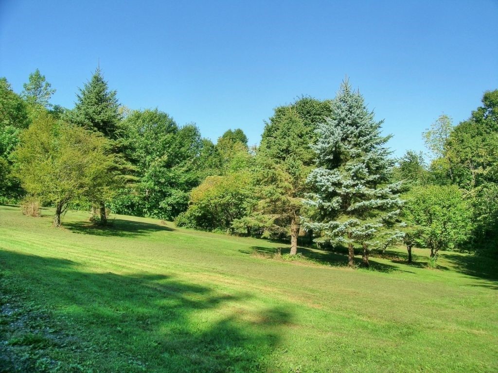 218 Brigham Hill Road Colchester, VT 05446 - Photo 29 of 32 Gallery Image 29