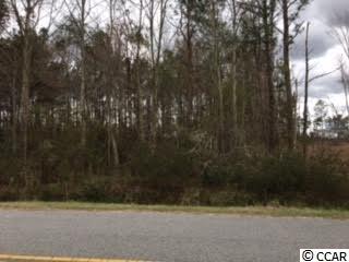 5-acres Hughes Gasque Road Aynor, SC 29511 - Photo 1 of 2 Gallery Image 1