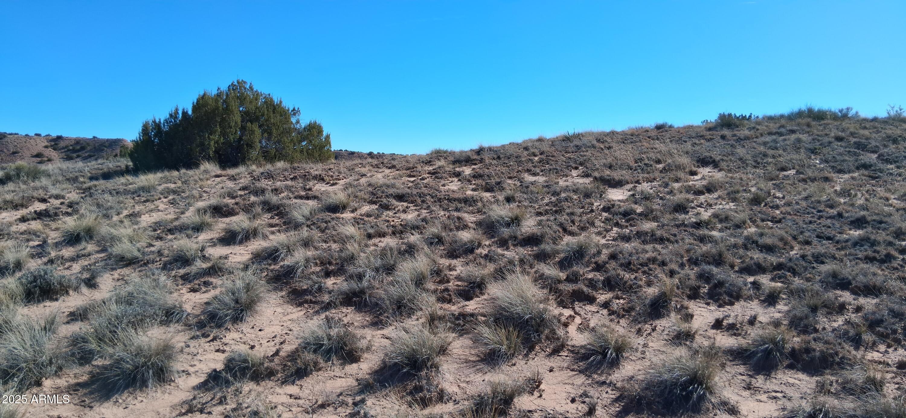 3.02-acres 3.02-acres Unnamed Road, Unit 457 Chambers, AZ 86502 - Photo 11 of 20 a view of a large mountain with a background