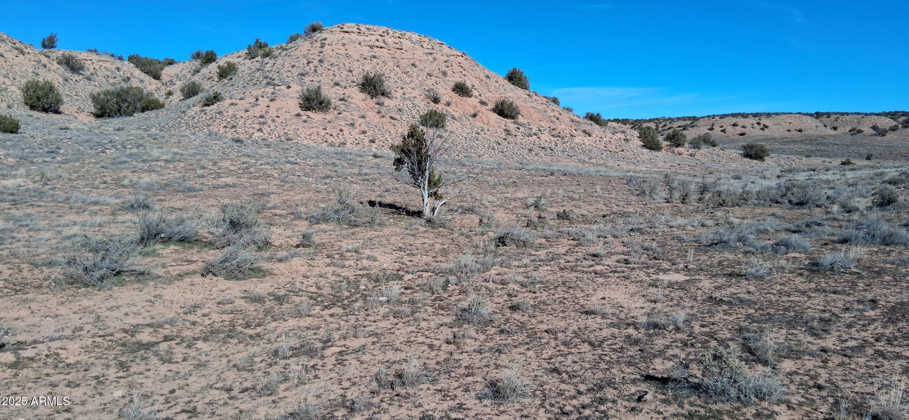 3.02-acres 3.02-acres Unnamed Road, Unit 457 Chambers, AZ 86502 - Photo 12 of 20 a view of a dry yard with trees in the background