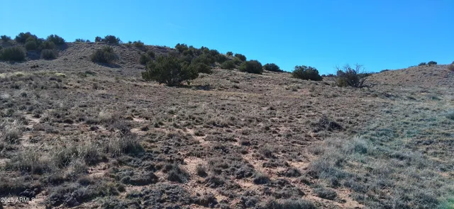 a view of a dry field