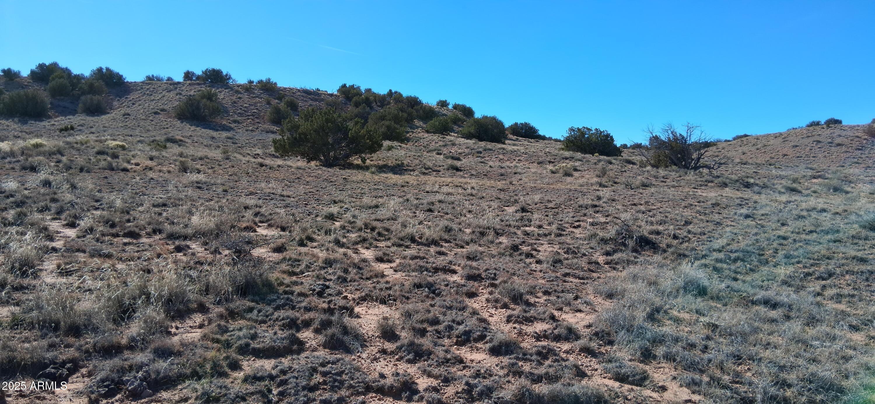 3.02-acres 3.02-acres Unnamed Road, Unit 457 Chambers, AZ 86502 - Photo 13 of 20 a view of a dry field